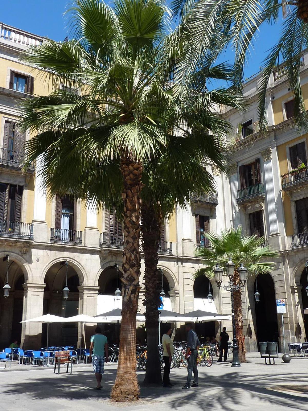 Roma Reial Hotel Barcelona Exterior foto